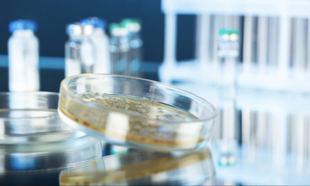 How One Non-Profit Uses Reserve Funds to Invest In ESG-Driven Companies – Environment + Energy Leader