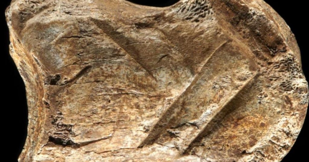 What a 51,000-year-old carved bone tells us about Neanderthals – CNET