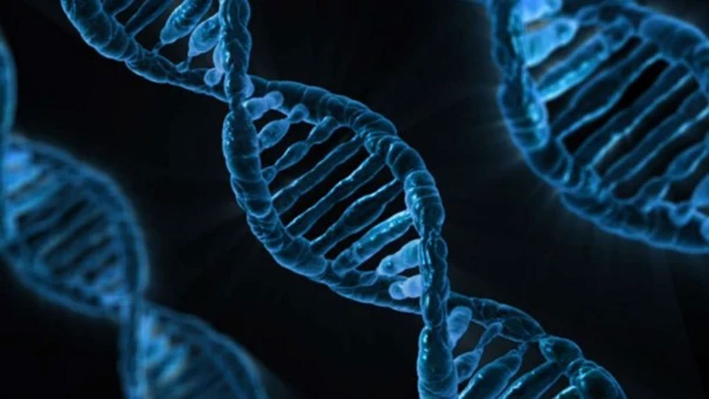 Study finds most modern human DNA is shared with ancient human ancestors – SlashGear