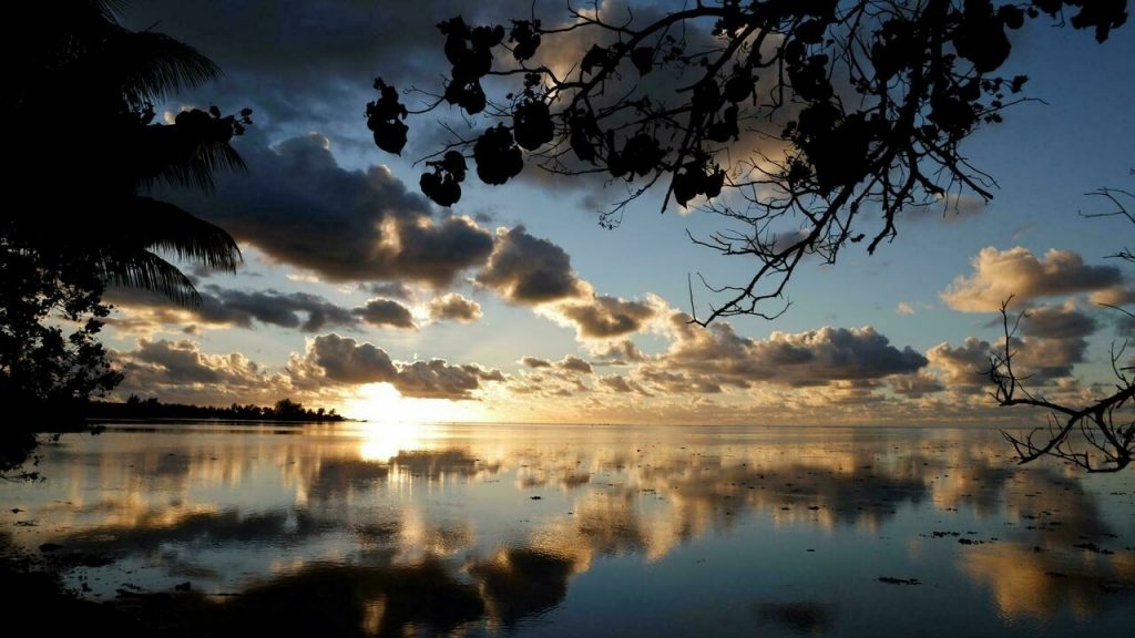 Ocean surface climates may disappear by 2100: study – FRANCE 24