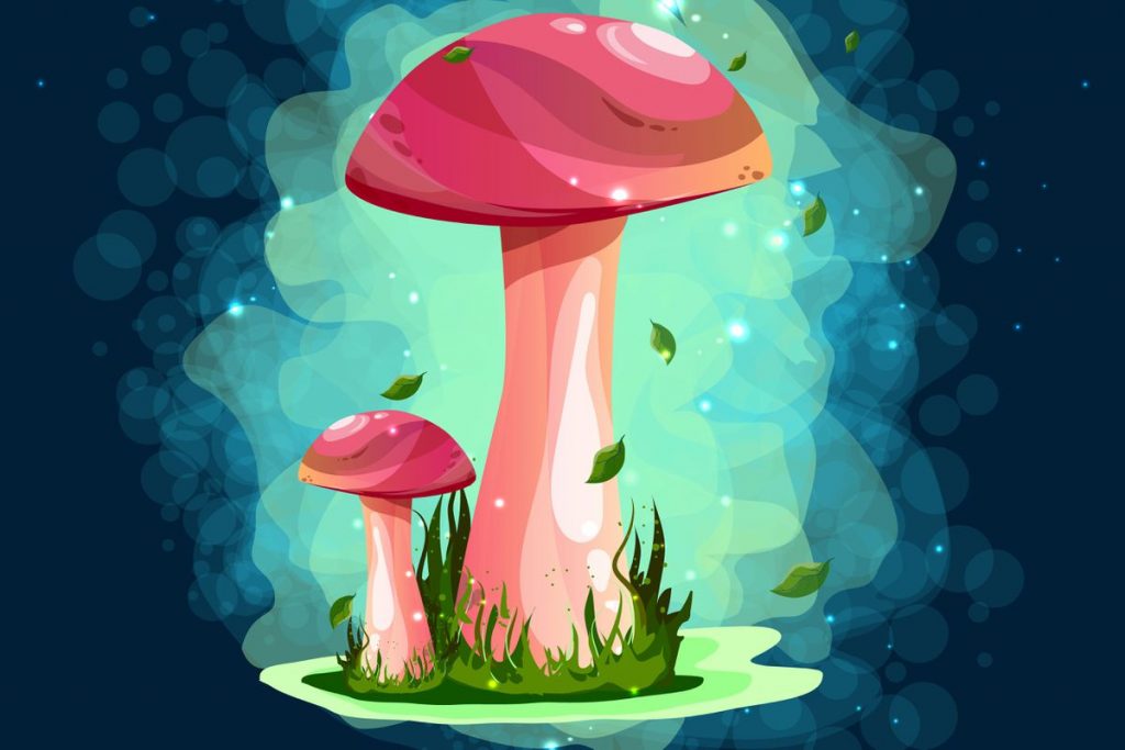 Mushrooms are having a moment, most notably in the treatment of mental-health disorders and PTSD – The Globe and Mail