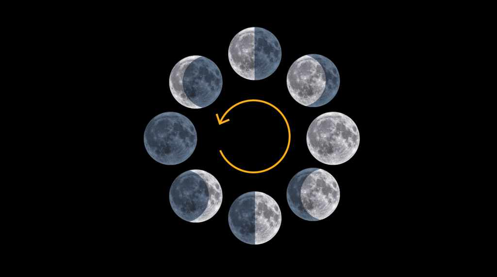 The harvest moon: A visual guide to full moons – USA TODAY