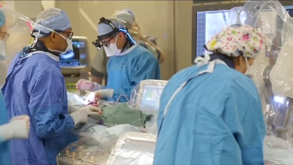 Hundreds of unvaccinated Island Health workers fired for missing deadline – CHEK