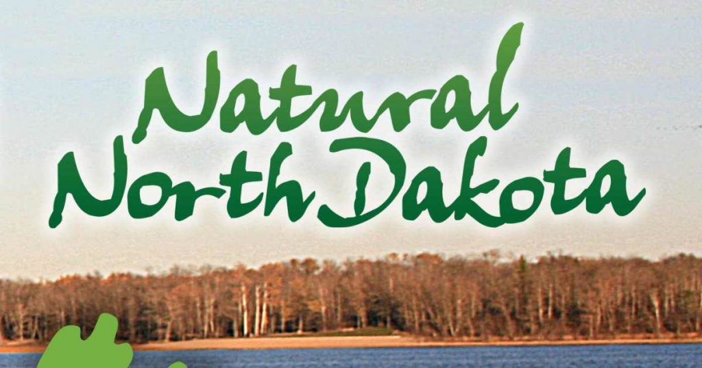 Draconids and Orionids Meteor Showers | Prairie Public Broadcasting – Prairie Public Broadcasting