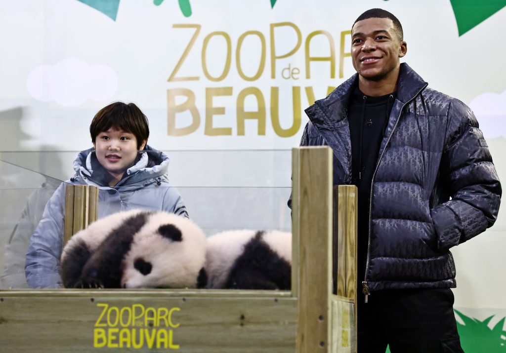Soccer star Mbappe becomes godfather to panda cub