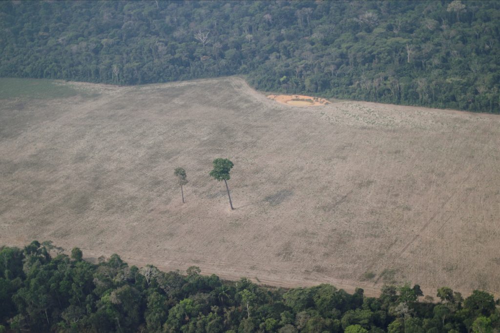 Spike in Amazon deforestation draws shock, ups pressure on Brazil