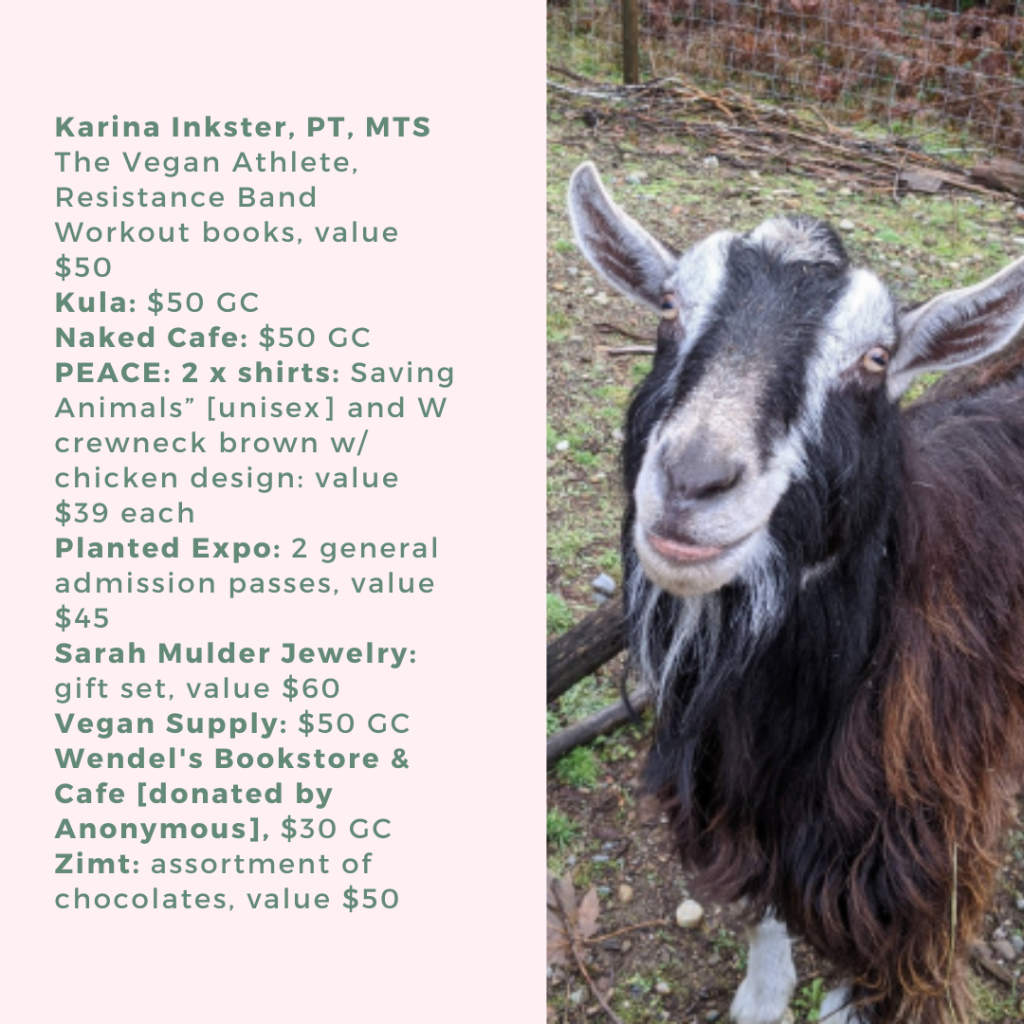 171 rescued farm animals need a new home, and it’s time sensitive: