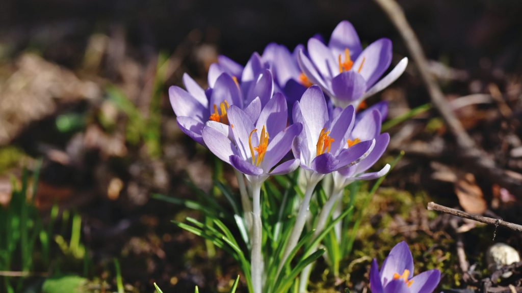 6 Principles To Getting An Early Start To Investing Wisely – Forbes