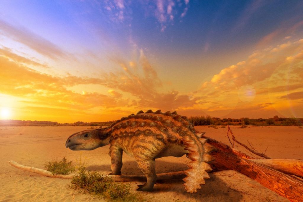 Newly unearthed dinosaur evolved 'large tail weapon' unlike any other – CNET