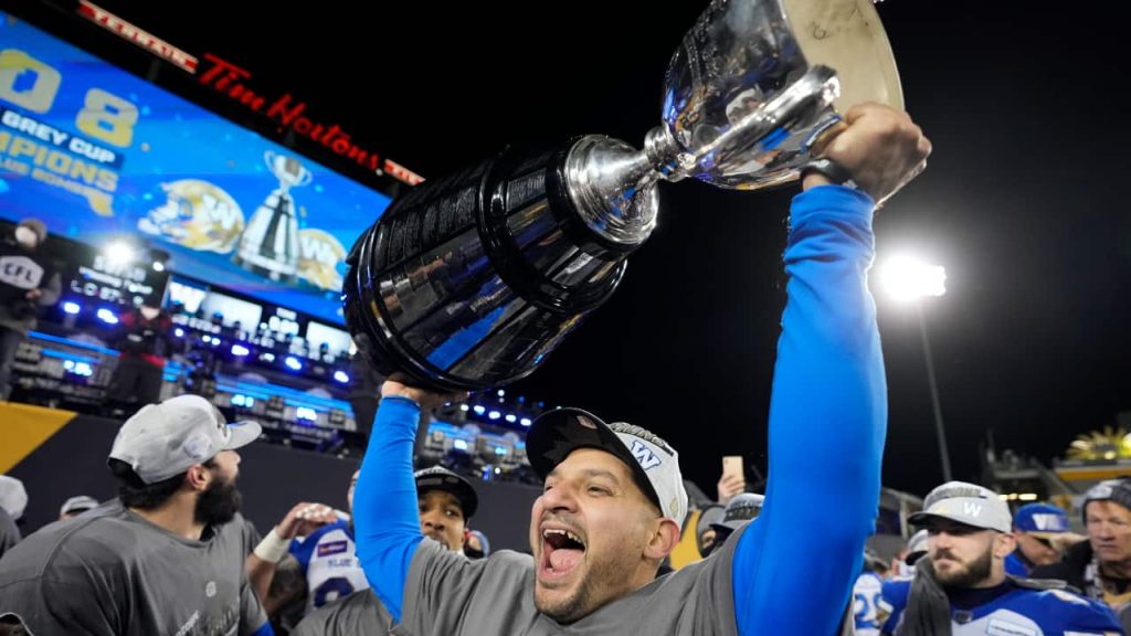 Winnipeg Blue Bombers defeat Hamilton Tiger-Cats to repeat as Grey Cup champions – CBC Sports
