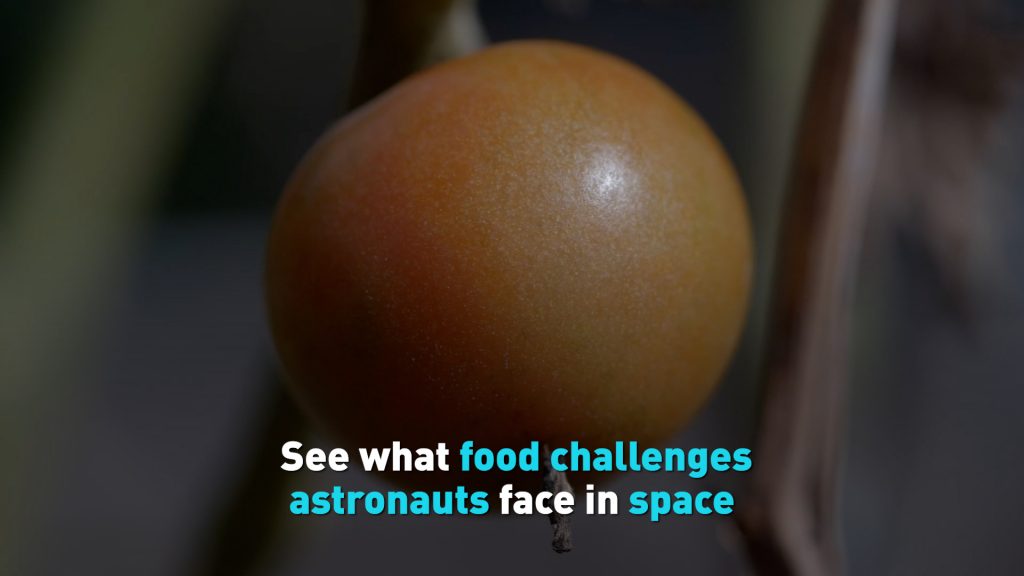 See what food challenges astronauts face in space – CGTN America
