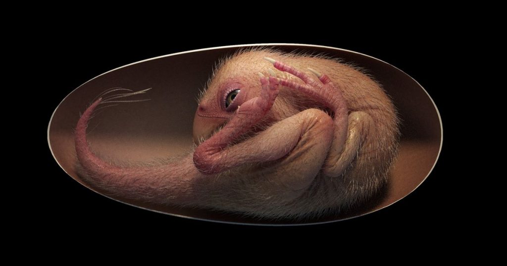 Stunningly well-preserved dinosaur embryo found inside fossilized egg – CNET