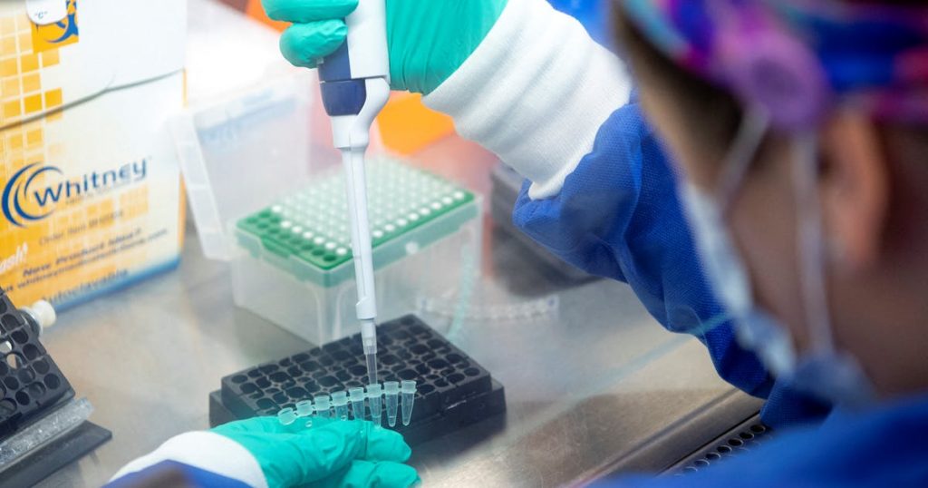 Omicron thrives in airways, not lungs; new data on asymptomatic cases – SaltWire Network