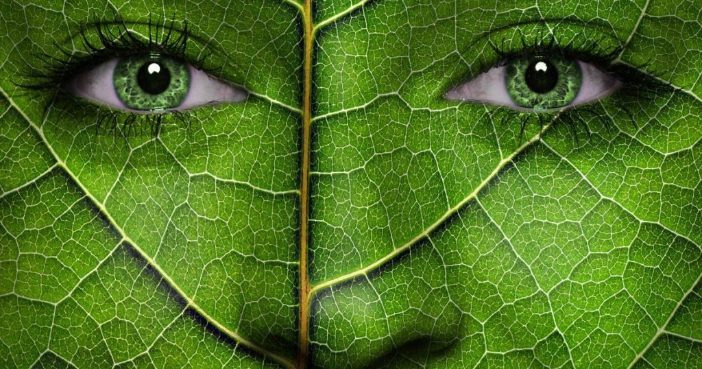 Private climate investment needs to get intentional about gender and equity — here's how | Greenbiz – GreenBiz