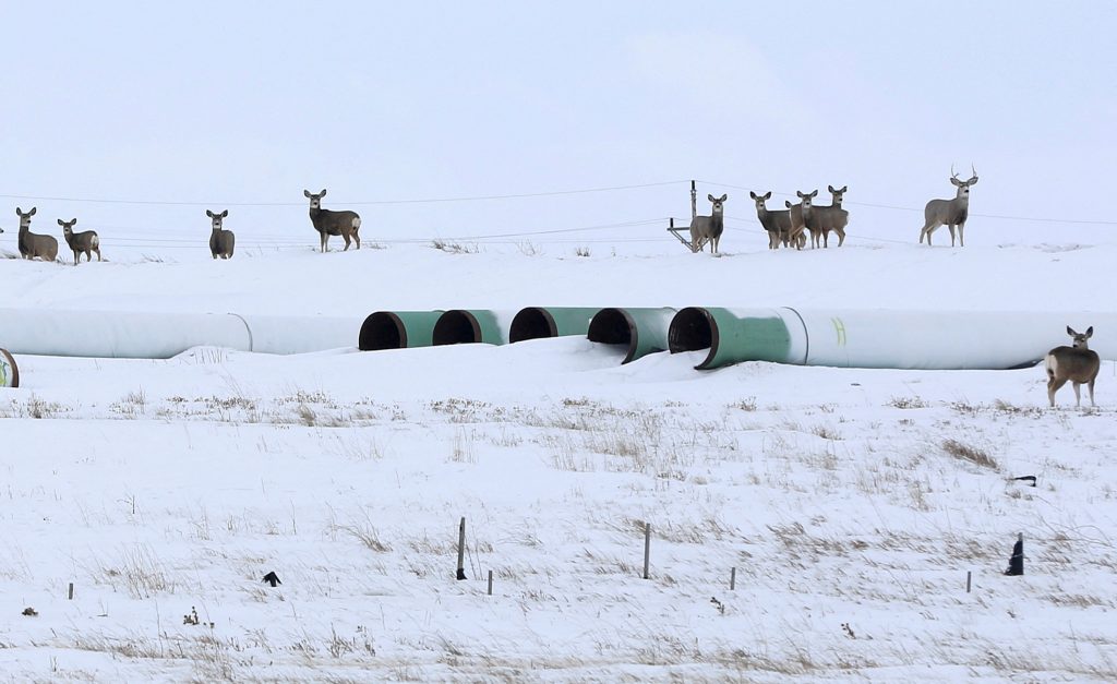 Alberta files trade challenge over scrapped Keystone XL pipeline