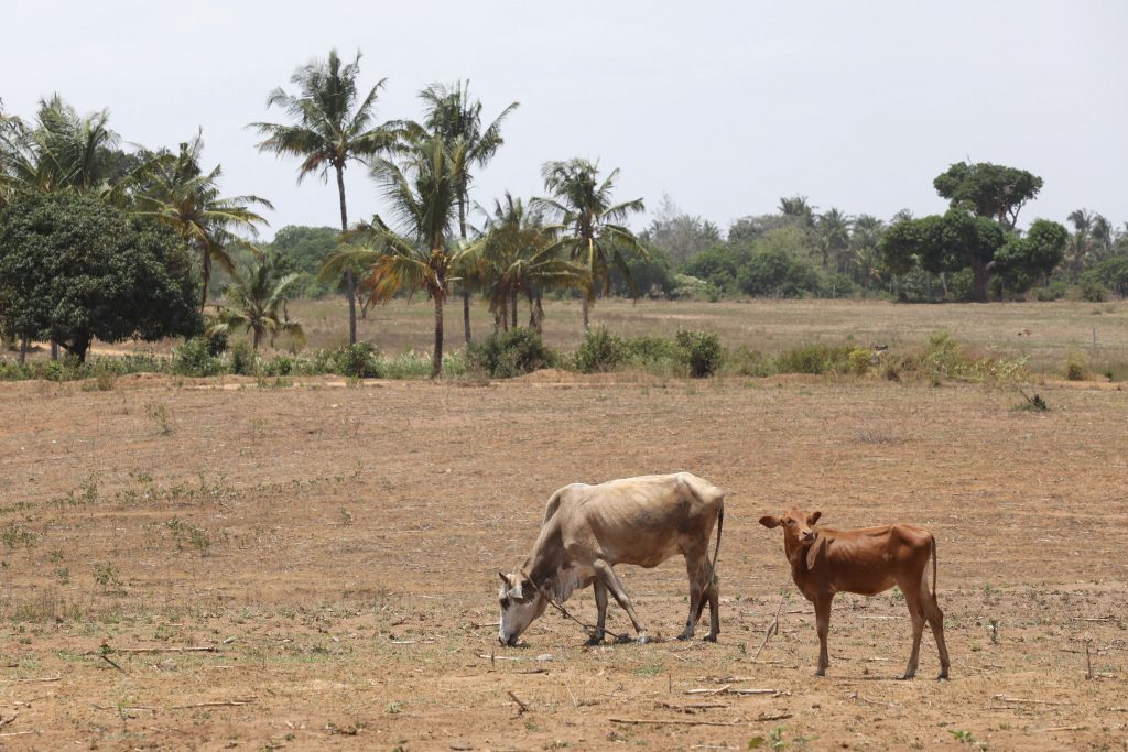 As climate dangers rise, scientists predict disasters before they happen