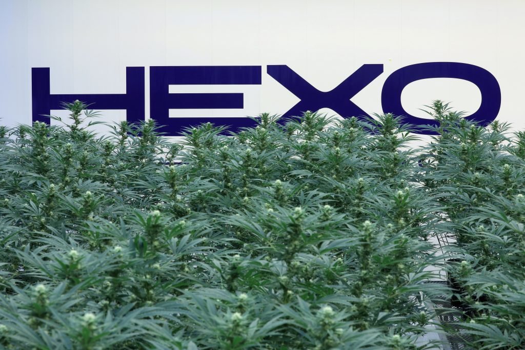 Cannabis producer Tilray to buy rival HEXO’s debt of up to 1 million