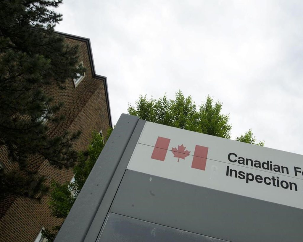 H5N1 avian flu confirmed in southern N.S. 'backyard flock,' two probes end in N.L. – The Peterborough Examiner