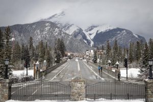 Research shows grizzly bears and wolves avoid towns, trails in Alberta’s Bow Valley