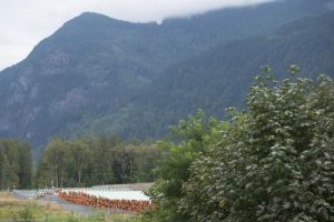 Ottawa approves new B loan guarantee for the Trans Mountain pipeline project