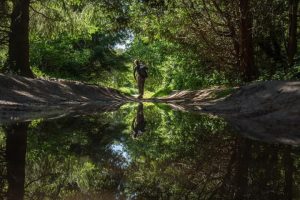 Parks Canada capital budget falls as agency works on new plan for crumbling assets