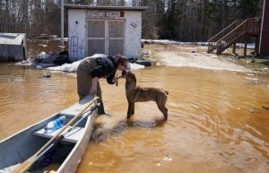 Resilient infrastructure, faster disaster recovery needed to adapt to climate change Resilient infrastructure, faster disaster recovery needed to adapt to climate change