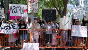 How to Fight Big Brother( Gun Lobby) How to Fight Big Brother( Gun Lobby)