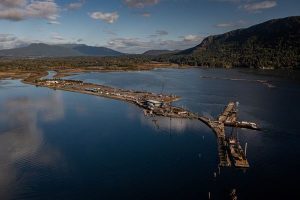 Blue marshlands store as much carbon as green forests: study – The Globe and Mail Blue marshlands store as much carbon as green forests: study – The Globe and Mail