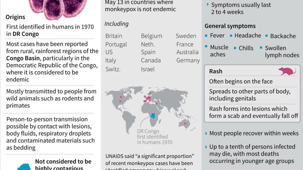 Monkeypox can be stopped outside endemic countries: WHO – RFI English
