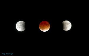 COMMUNITY SPOTLIGHT: A Total Lunar Eclipse Takes Place This Weekend – NorfolkToday.ca