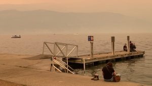 Canadians who live near wildfire sites have higher risk of cancer, recent study shows – CBC.ca Canadians who live near wildfire sites have higher risk of cancer, recent study shows – CBC.ca