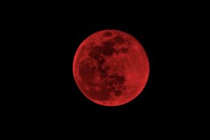 Blood moon, big city: Skywatcher captures total lunar eclipse over New York – Galaxy Reporters