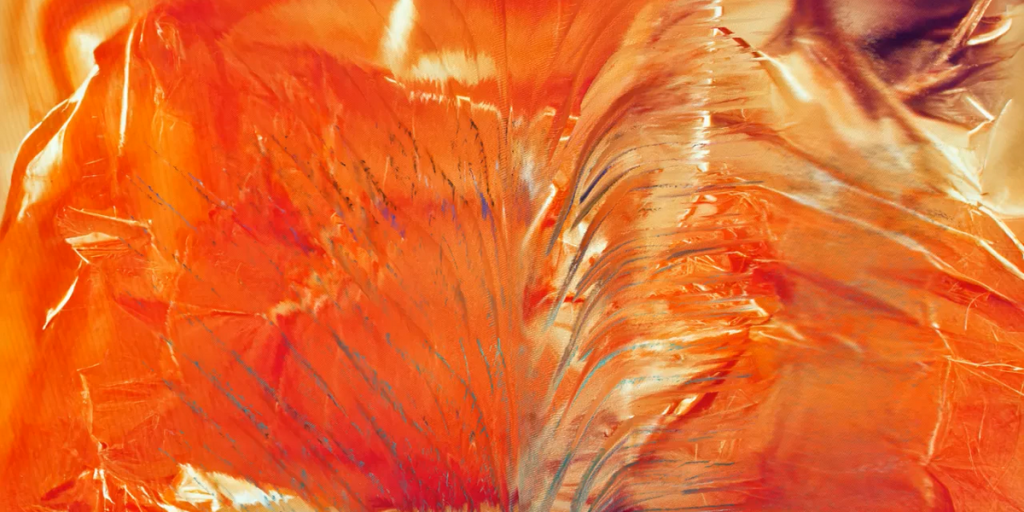 The DAO is the new investment club – Protocol