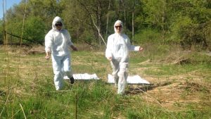Tick surveillance program underway in Windsor-Essex | CTV News – CTV News Windsor Tick surveillance program underway in Windsor-Essex | CTV News – CTV News Windsor