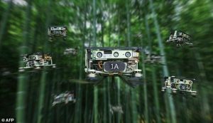 Watch a swarm of DRONES navigate through dense forest with incredible precision – Daily Mail