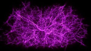 'Time Machine' Simulation May Uncover Secrets of Cosmic Web Connecting Universe – VICE