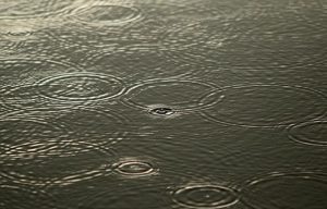 Large part of southern B.C. under flood warnings, watches as storm bears down