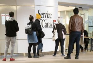 Federal government now posting passport wait times online as long lineups continue