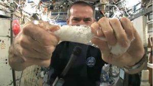 Wringing wet cloth in space: Astronaut demonstrates water's fascinating property – NewsBytes Wringing wet cloth in space: Astronaut demonstrates water's fascinating property – NewsBytes