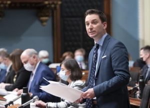 Support dogs to comfort victims at Quebec’s specialized sexual violent courts