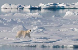 Russia not invited as Arctic Council resumes meetings