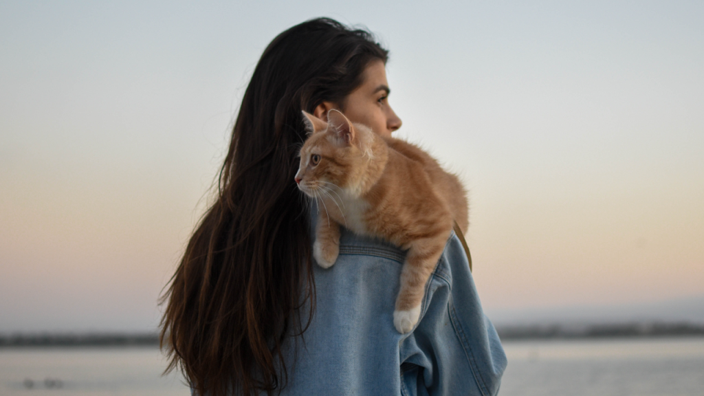 People with COVID-19 can infect and sicken cats and dogs by cuddling them, says study – CHEK News