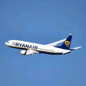 Ryanair forces South Africans to answer 15 questions in Afrikaans before boarding flights Ryanair forces South Africans to answer 15 questions in Afrikaans before boarding flights