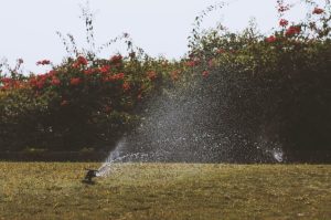 Irrigation Systems at Home: Benefits and Other Tips