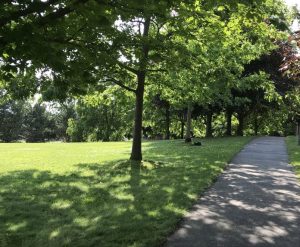Nurture Your Tree Investment – Prince Albert Daily Herald