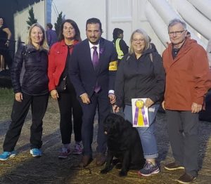 From politics to pawlitics: N.L. finance minister's dog wins big at Westminster – CBC.ca