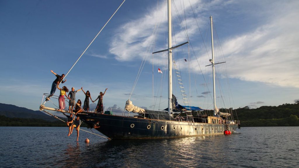 And Then the Sea Glowed a Magnificent Milky Green – Hakai Magazine