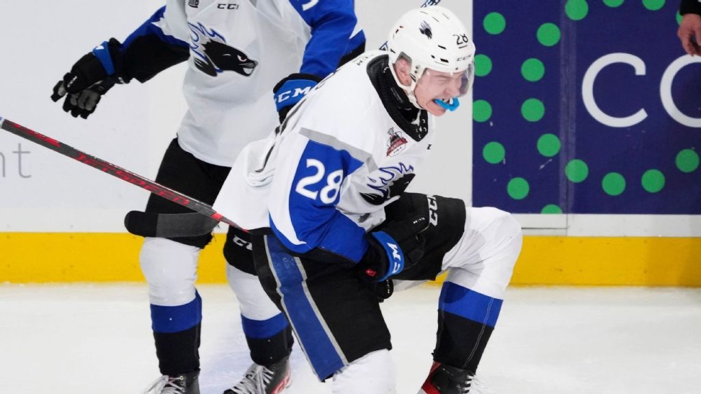 Saint John moves into Memorial Cup title game with win over Shawinigan – ESPN