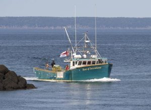 Senate report says government must implement rights-based Indigenous fisheries