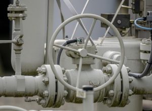 ‘Be brave like Ukraine’: Stick to sanctions in turbine strife, protesters tell Canada